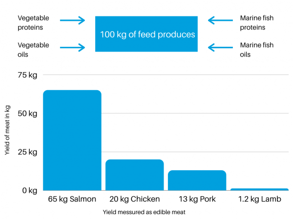 MID_ Aqua culture_ most effecient use of proteins _page-0001