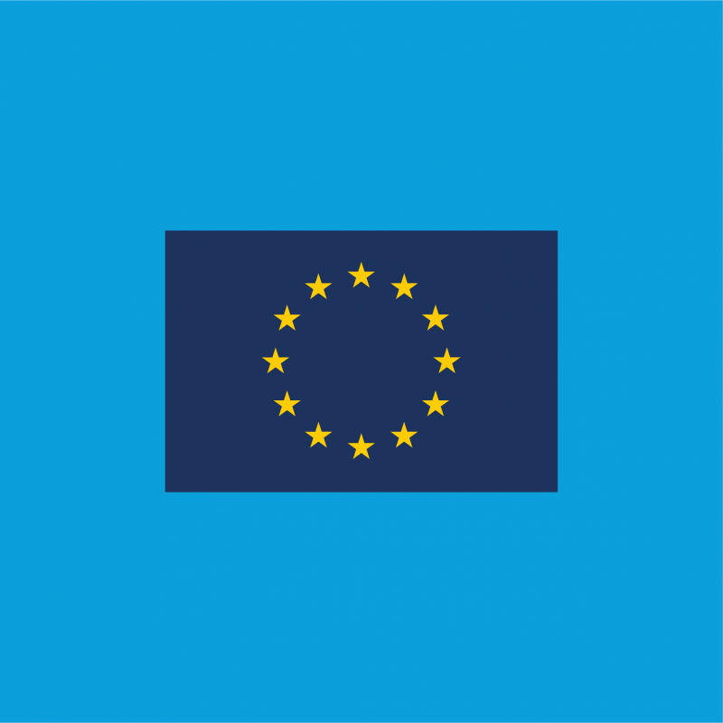 EU Flag, infografik