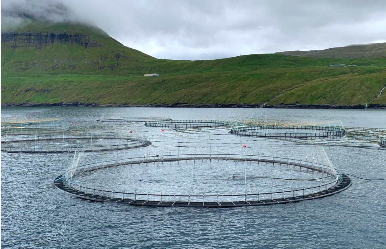 Fiskeopdræt, Akvakultur, Færøerne